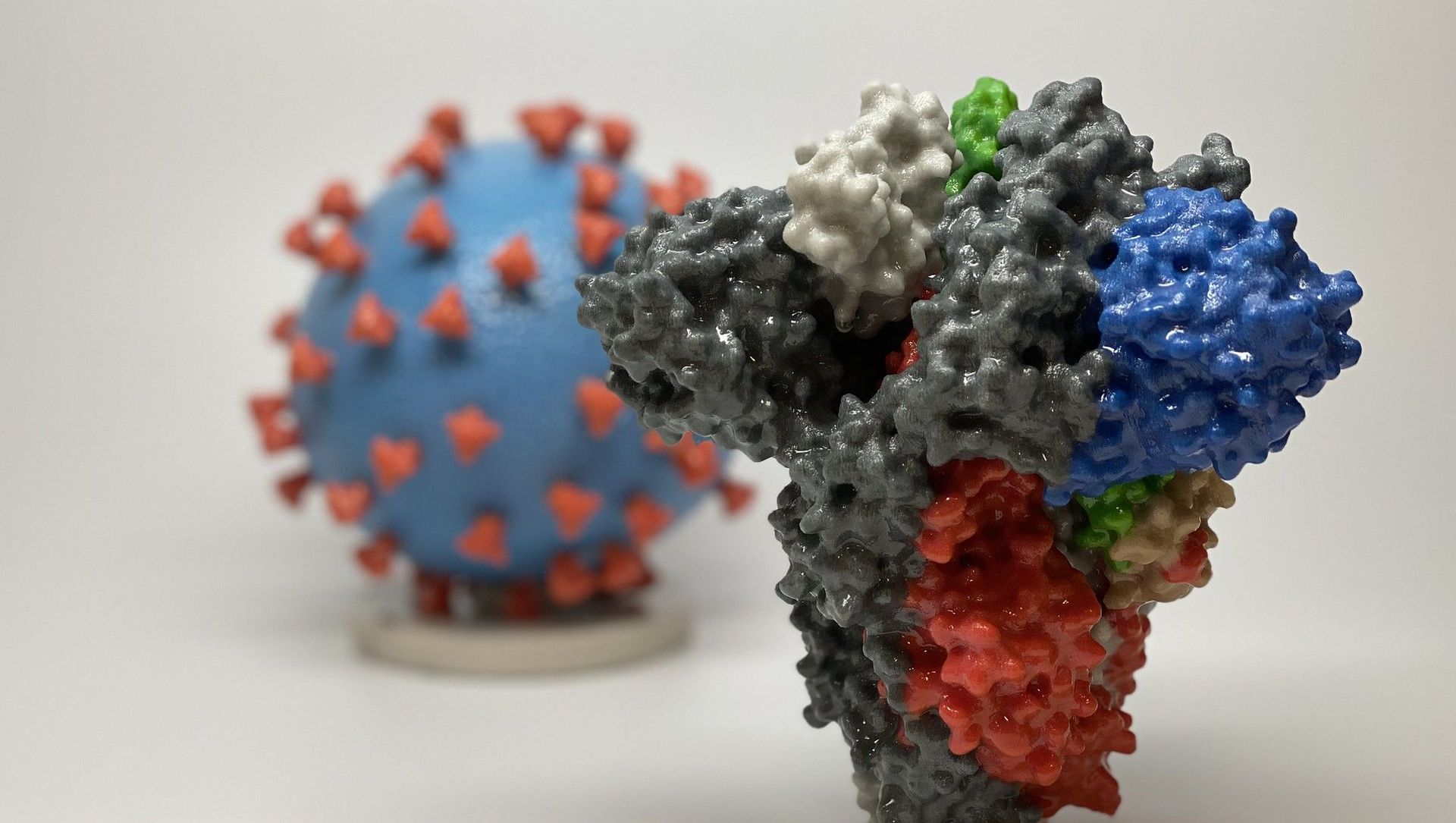 Novel Coronavirus SARS-CoV-2 Spike Protein Novel Coronavirus SARS-CoV-2 Spike Protein - Sputnik International, 1920, 07.06.2021