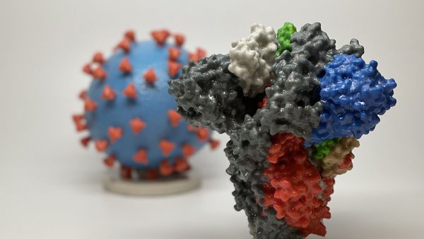 Novel Coronavirus SARS-CoV-2 Spike Protein - Sputnik International