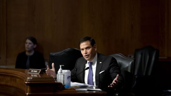 Sen. Marco Rubio, R-Fla., speaks during a Senate Appropriations Subcommittee looking into the budget estimates for National Institute of Health (NIH) and the state of medical research, Wednesday, May 26, 2021, on Capitol Hill in Washington. - Sputnik International