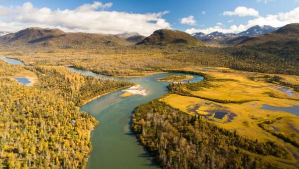 Iliamna River in Autumn - Sputnik International