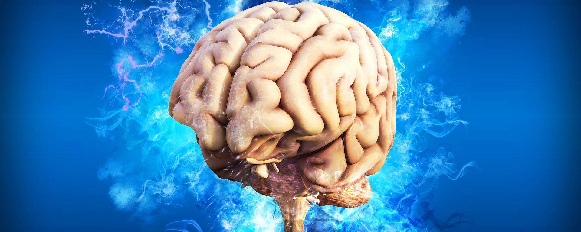Brain Brain - Sputnik International, 1920, 09.02.2024