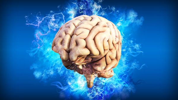 Brain - Sputnik International
