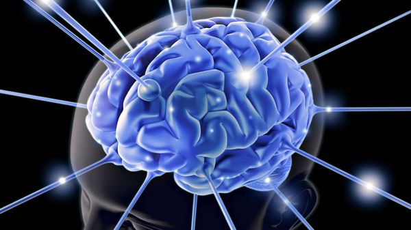 Brain Wallpaper - Sputnik International