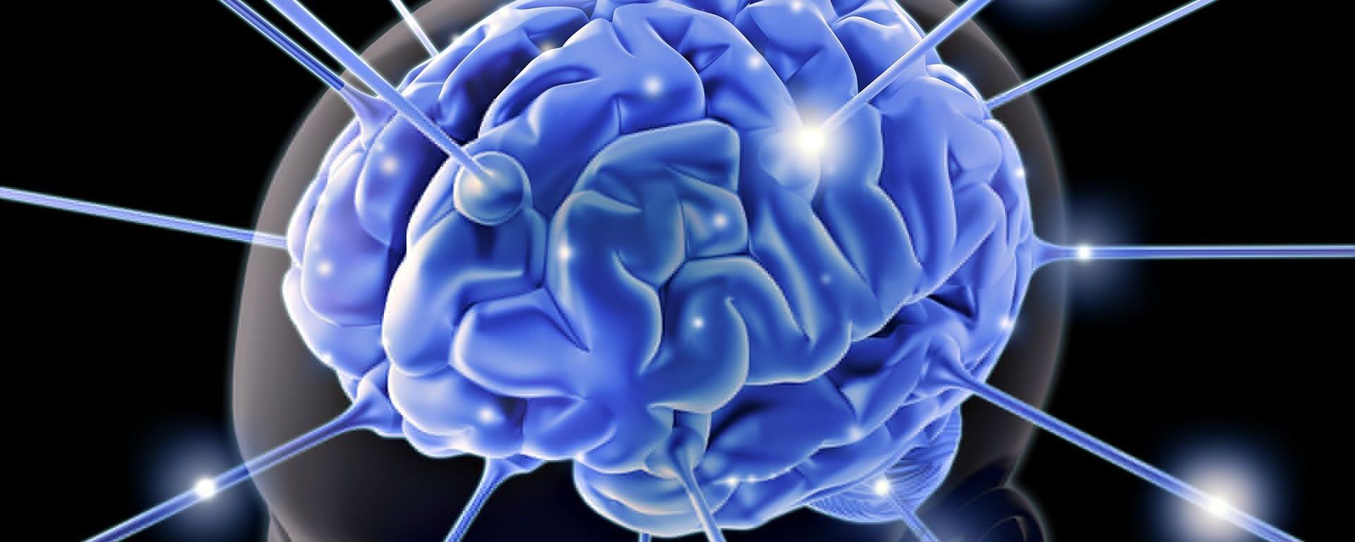 Brain Wallpaper - Sputnik International, 1920, 16.06.2022
