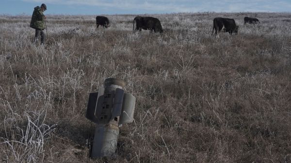 A man shepherds his cows near a rocket case left after a military conflict over Nagorno-Karabakh region, outside Stepanakert January 6, 2021. - Sputnik International