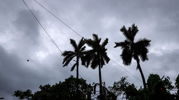 A bird flies past coconut trees under the inclement weather due to Cyclone Yaas in Kolkata, India,  - Sputnik International