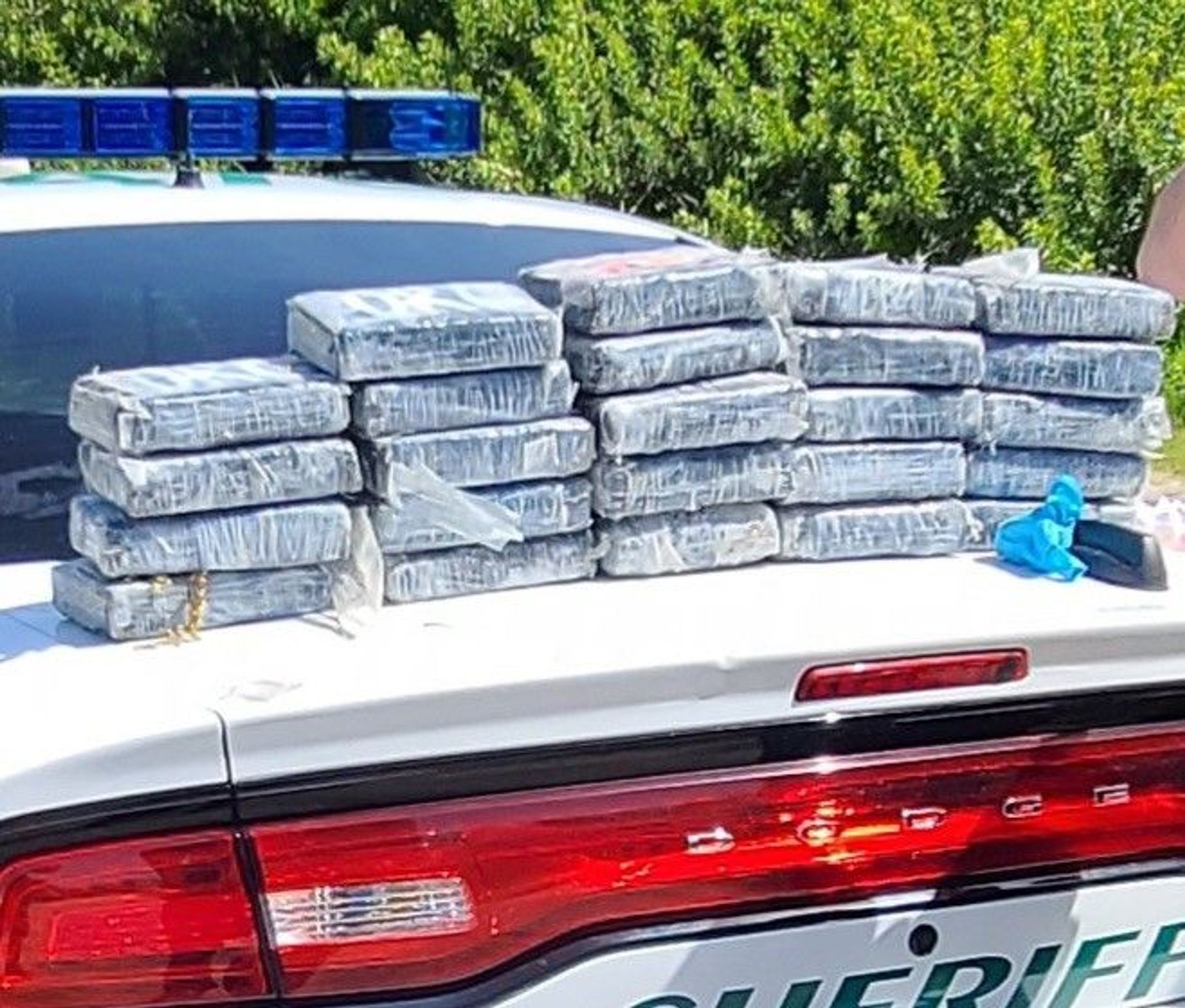Photos: US Seizes $1.2 Million Worth of Cocaine on Florida Beach Amid Sea Turtle Survey - Sputnik International, 1920, 16.06.2021