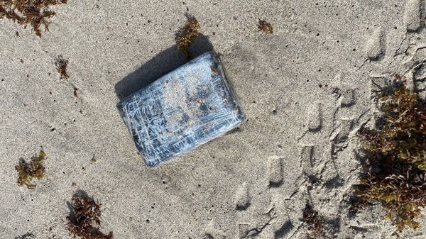 Defenders from the 45th Security Forces Squadron seize nearly 30 kilograms of cocaine that washed ashore on a Cape Canaveral Space Force Station, Florida, beach, May 19, 2021. According to the Brevard County Sheriff's Office, the drugs had an estimated value of approximately $1.2 million. - Sputnik International