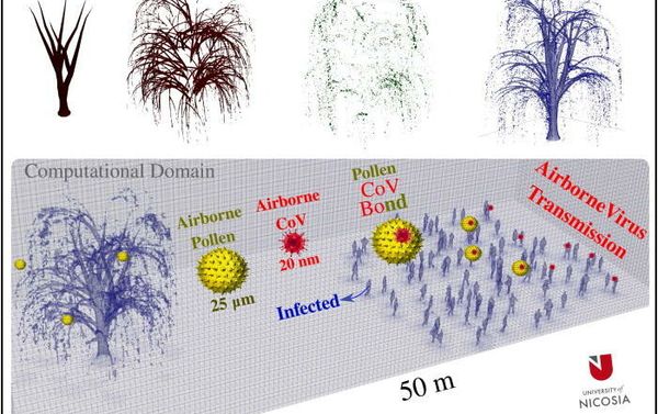 Top: computational modeling of a willow tree showing the trunk, stems, leaves, and the 3D tree model. Bottom: computational domain (50×20×20 m3) that includes the tree model and a crowd of people (97 individual including some infected persons) illustrating the potential of airborne virus transmission through a pollen-CoV bond potential. The crowd's boundary is positioned at a distance of 20 m away from the tree's boundary. The clustering of people in the crowd respects, in general, the minimum social distance of 2 m. Top: computational modeling of a willow tree showing the trunk, stems, leaves, and the 3D tree model. Bottom: computational domain (50×20×20 m3) that includes the tree model and a crowd of people (97 individual including some infected persons) illustrating the potential of airborne virus transmission through a pollen-CoV bond potential. The crowd's boundary is positioned at a distance of 20 m away from the tree's boundary. The clustering of people in the crowd respects, in general, the minimum social distance of 2 m. - Sputnik International