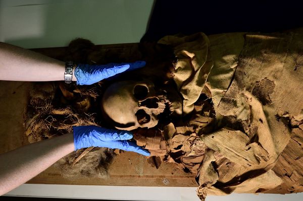 3,000-Year-Old Mystery: Secrets of Egyptian Mummy to Be Revealed 3,000-Year-Old Mystery: Secrets of Egyptian Mummy to Be Revealed - Sputnik International