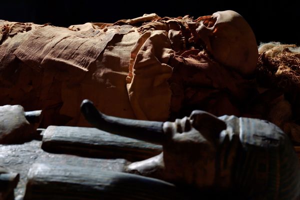 3,000-Year-Old Mystery: Secrets of Egyptian Mummy to Be Revealed 3,000-Year-Old Mystery: Secrets of Egyptian Mummy to Be Revealed - Sputnik International