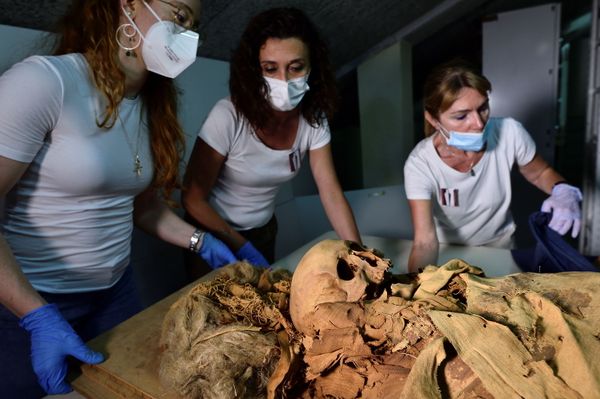 3,000-Year-Old Mystery: Secrets of Egyptian Mummy to Be Revealed 3,000-Year-Old Mystery: Secrets of Egyptian Mummy to Be Revealed - Sputnik International