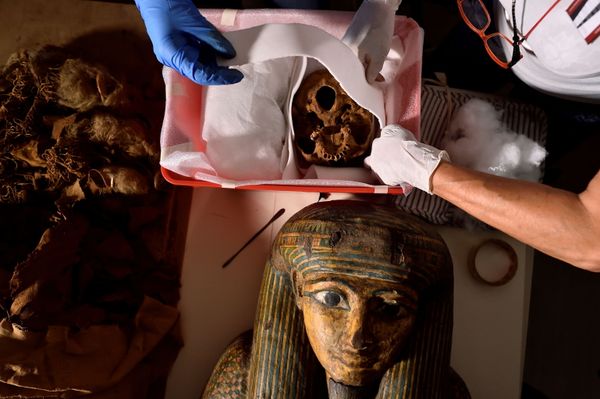 3,000-Year-Old Mystery: Secrets of Egyptian Mummy to Be Revealed 3,000-Year-Old Mystery: Secrets of Egyptian Mummy to Be Revealed - Sputnik International