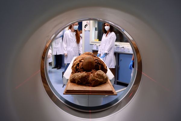 3,000-Year-Old Mystery: Secrets of Egyptian Mummy to Be Revealed 3,000-Year-Old Mystery: Secrets of Egyptian Mummy to Be Revealed - Sputnik International