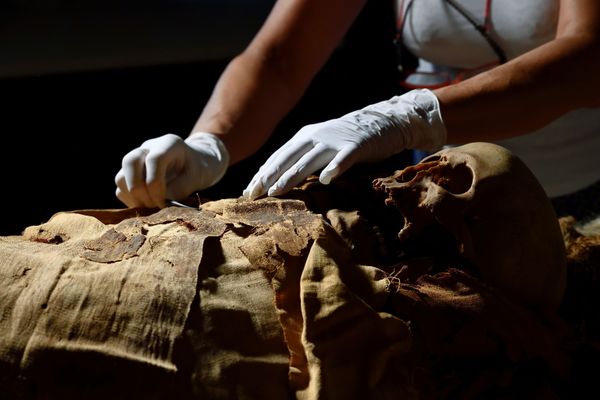 3,000-Year-Old Mystery: Secrets of Egyptian Mummy to Be Revealed 3,000-Year-Old Mystery: Secrets of Egyptian Mummy to Be Revealed - Sputnik International