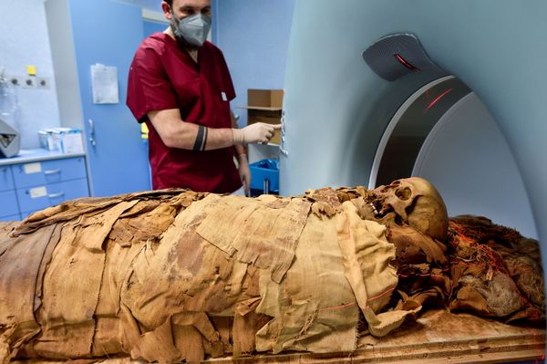 3,000-Year-Old Mystery: Secrets of Egyptian Mummy to Be Revealed 3,000-Year-Old Mystery: Secrets of Egyptian Mummy to Be Revealed - Sputnik International