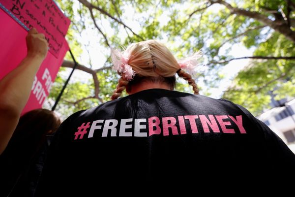 A person protests in support of pop star Britney Spears. A person protests in support of pop star Britney Spears. - Sputnik International