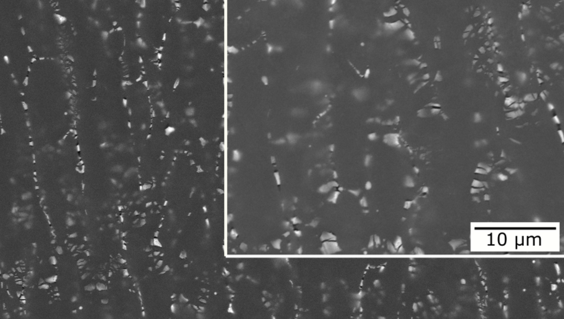Microstructure of a cold-rolled strip made of an experimental alloy Microstructure of a cold-rolled strip made of an experimental alloy - Sputnik International, 1920, 24.06.2021