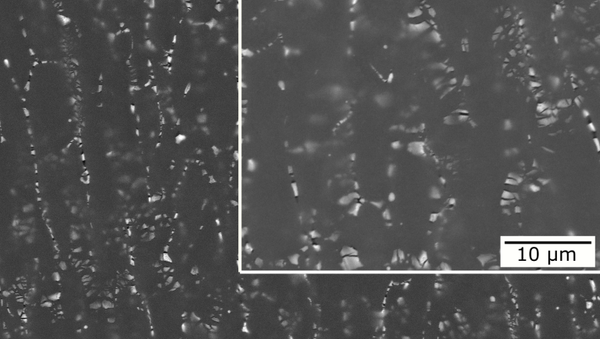 Microstructure of a cold-rolled strip made of an experimental alloy - Sputnik International