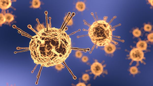 Coronavirus - Sputnik International