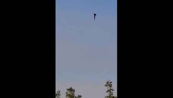 At least five people died following a hot air balloon crash in Albuquerque, New Mexico, on June 26, 2021. - Sputnik International
