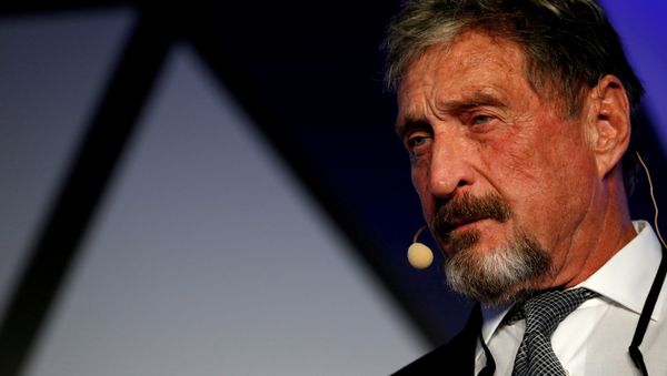  John McAfee, co-founder of McAfee Crypto Team and CEO of Luxcore and founder of McAfee Antivirus, speaks at the Malta Blockchain Summit in St Julian's, Malta November 1, 2018 - Sputnik International