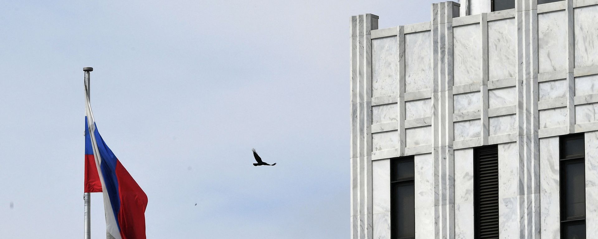 A bird flies past a Russian flag at the Embassy of Russia in Washington, DC on April 15, 2021. A bird flies past a Russian flag at the Embassy of Russia in Washington, DC on April 15, 2021. - Sputnik International, 1920, 29.11.2022