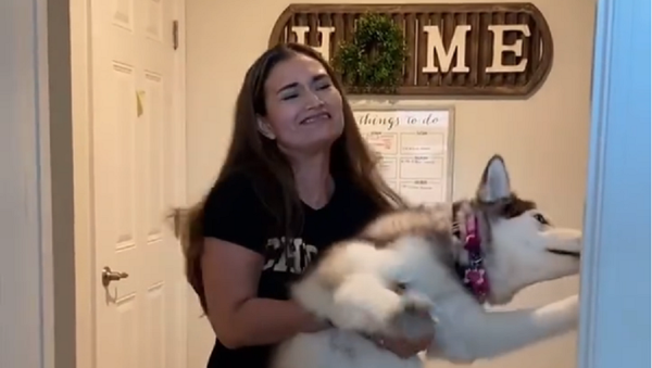 Dog Does Not Want to Take a Bath - Sputnik International