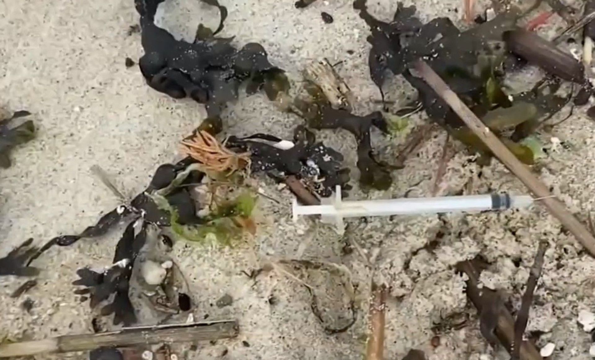 Screenshot captures one of dozens of syringes that have washed ashore along the New Jersey coastline after intense storms have overflowed the local sewer systems. Screenshot captures one of dozens of syringes that have washed ashore along the New Jersey coastline after intense storms have overflowed the local sewer systems. - Sputnik International, 1920, 07.09.2021