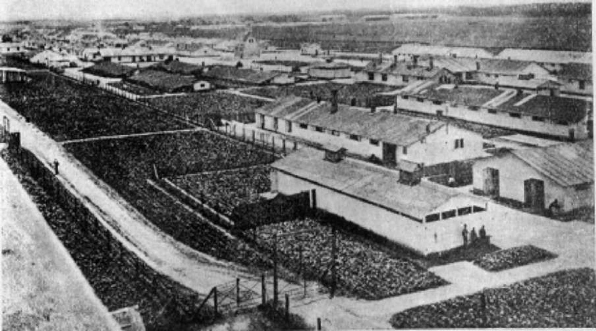 Thalerhof internment camp Thalerhof internment camp - Sputnik International, 1920, 07.09.2021