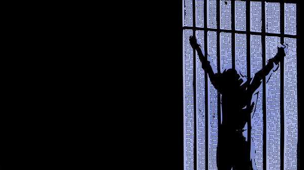  Prison bars  - Sputnik International