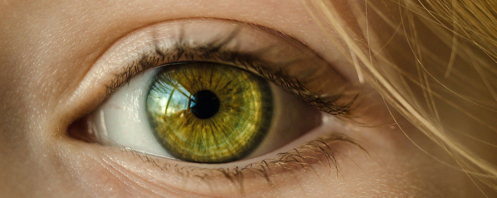 Eye Eye - Sputnik International, 1920, 10.11.2023
