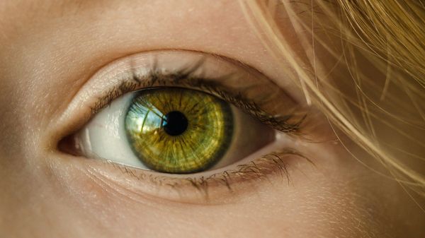 Eye - Sputnik International