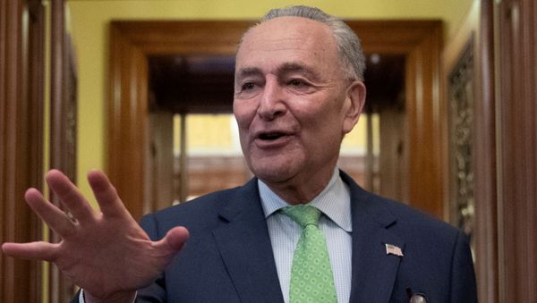 Senate Majority Leader Schumer speaks to news reporters following a deal on infrastructure on Capitol Hill in Washington - Sputnik International