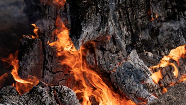 A stump burns in an area hit hard by the Bootleg Fire near Bly Oregon, U.S., July 19, 2021. - Sputnik International