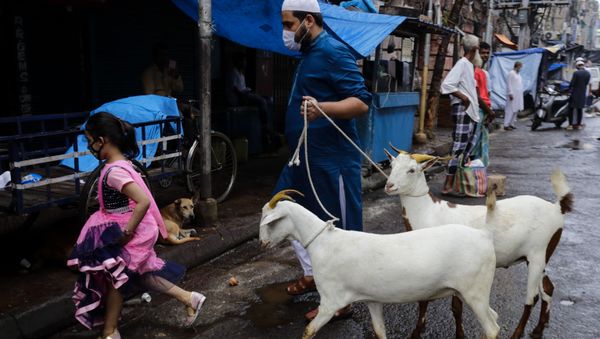 A Muslim walks with goats for sacrifice during Eid al-Adha festival in Kolkata, India, Wednesday, July 21, 2021 - Sputnik International