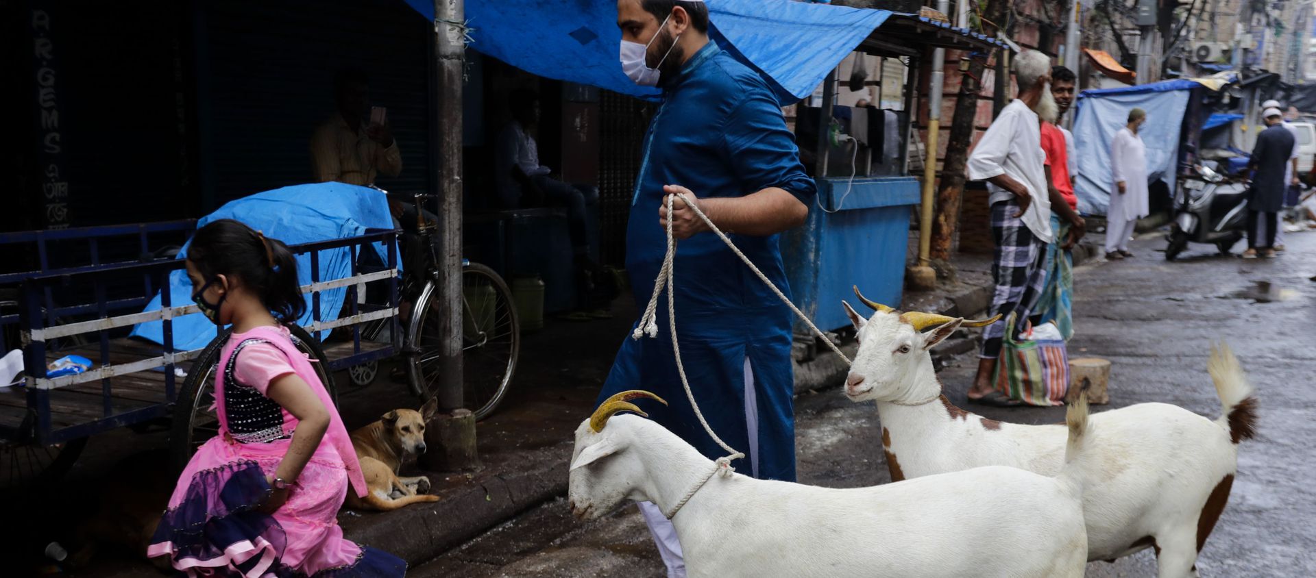 A Muslim walks with goats for sacrifice during Eid al-Adha festival in Kolkata, India, Wednesday, July 21, 2021 A Muslim walks with goats for sacrifice during Eid al-Adha festival in Kolkata, India, Wednesday, July 21, 2021 - Sputnik International, 1920
