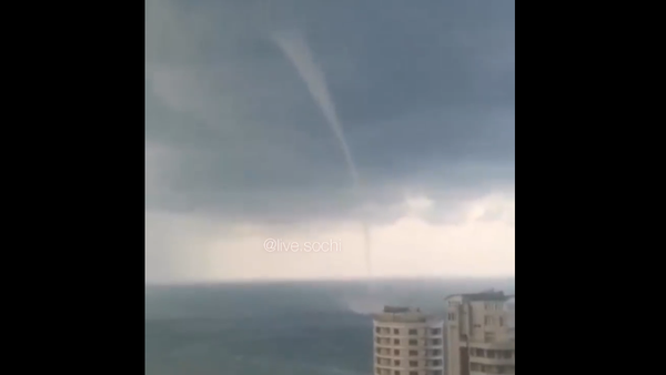 Whirlwind. - Sputnik International