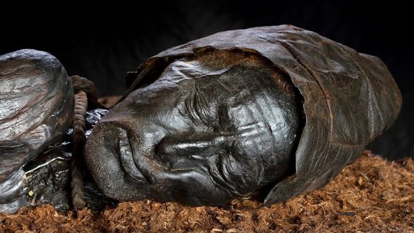 The well-preserved head of Tollund Man - Sputnik International