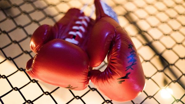 Boxing gloves - Sputnik International