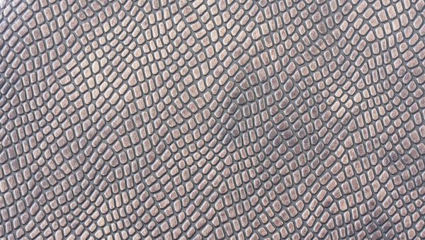 skin of an amphibian - Sputnik International