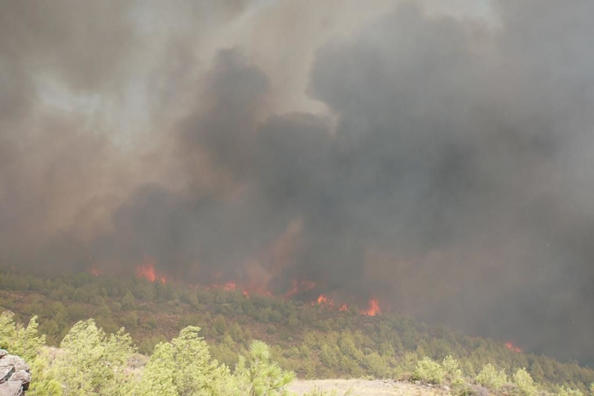 wildfires in the Turkish city of Bodrum - Sputnik International, 1920, 07.09.2021