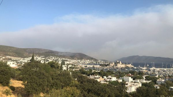 fire in Bodrum - Sputnik International