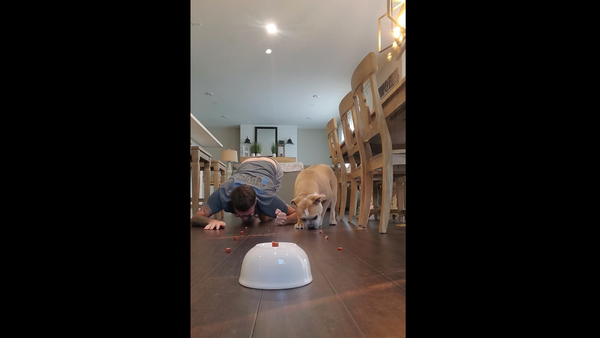 Man and his dog - Sputnik International