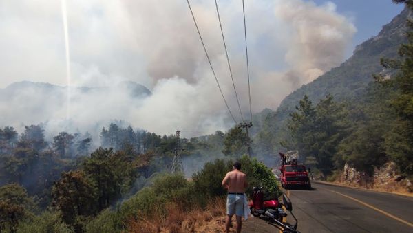 Wildfires in Turkey - Sputnik International