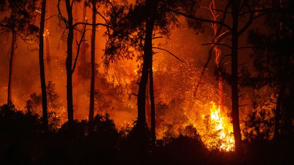 This photograph shows a forest burning as a massive wildfire engulfed a Mediterranean resort in the Marmaris district of Mugla, on 1 August 2021.  - Sputnik International