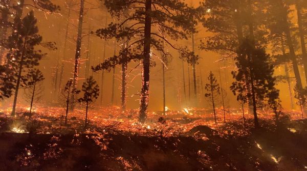 Tamarack fire is seen in Markleeville, California on 17 July 2021 in this still image obtained from a social media video. - Sputnik International