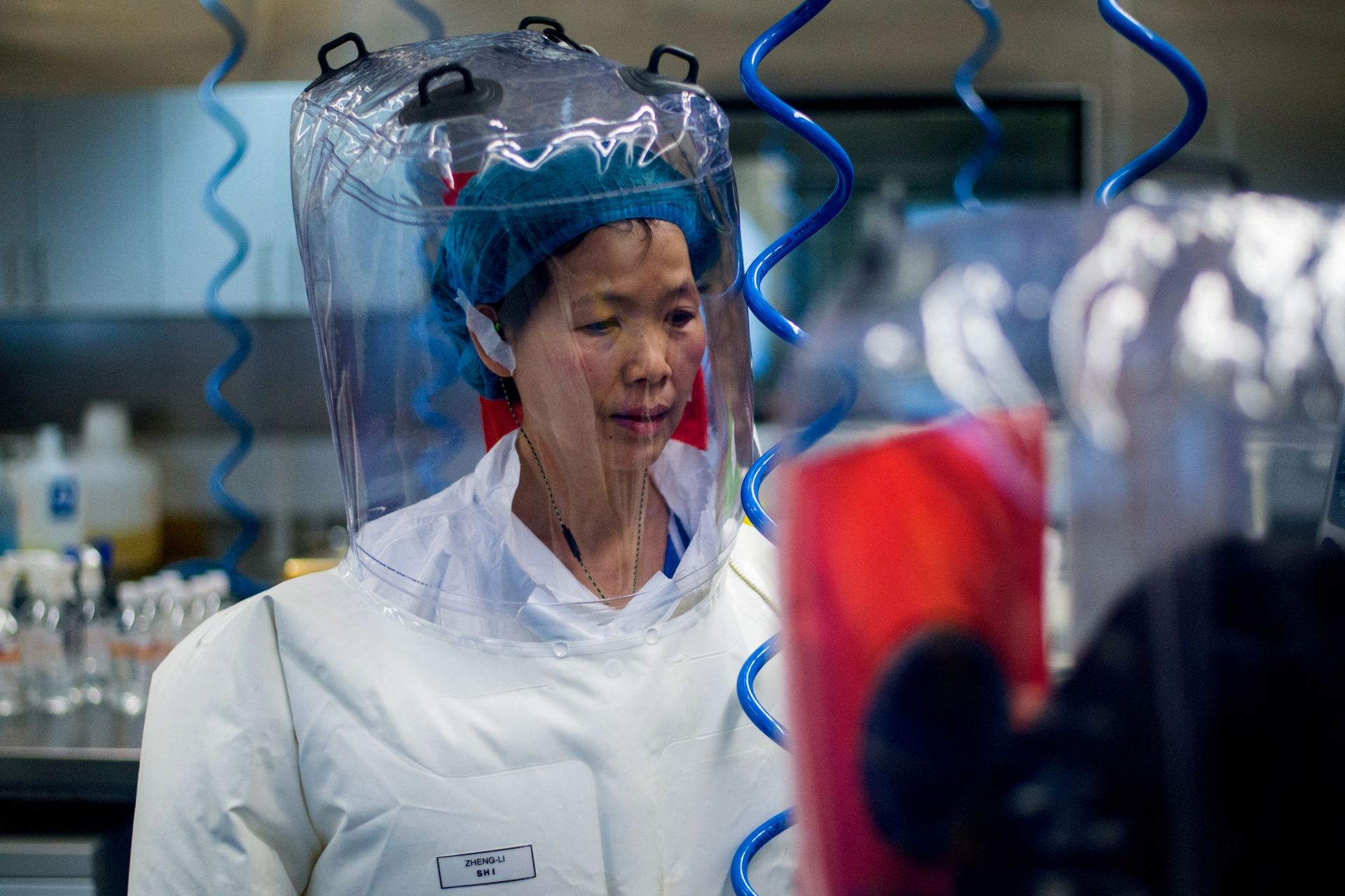 Chinese virologist Shi Zhengli is seen inside the P4 laboratory in Wuhan, capital of China's Hubei province, on February 23, 2017 Chinese virologist Shi Zhengli is seen inside the P4 laboratory in Wuhan, capital of China's Hubei province, on February 23, 2017 - Sputnik International, 1920, 07.09.2021