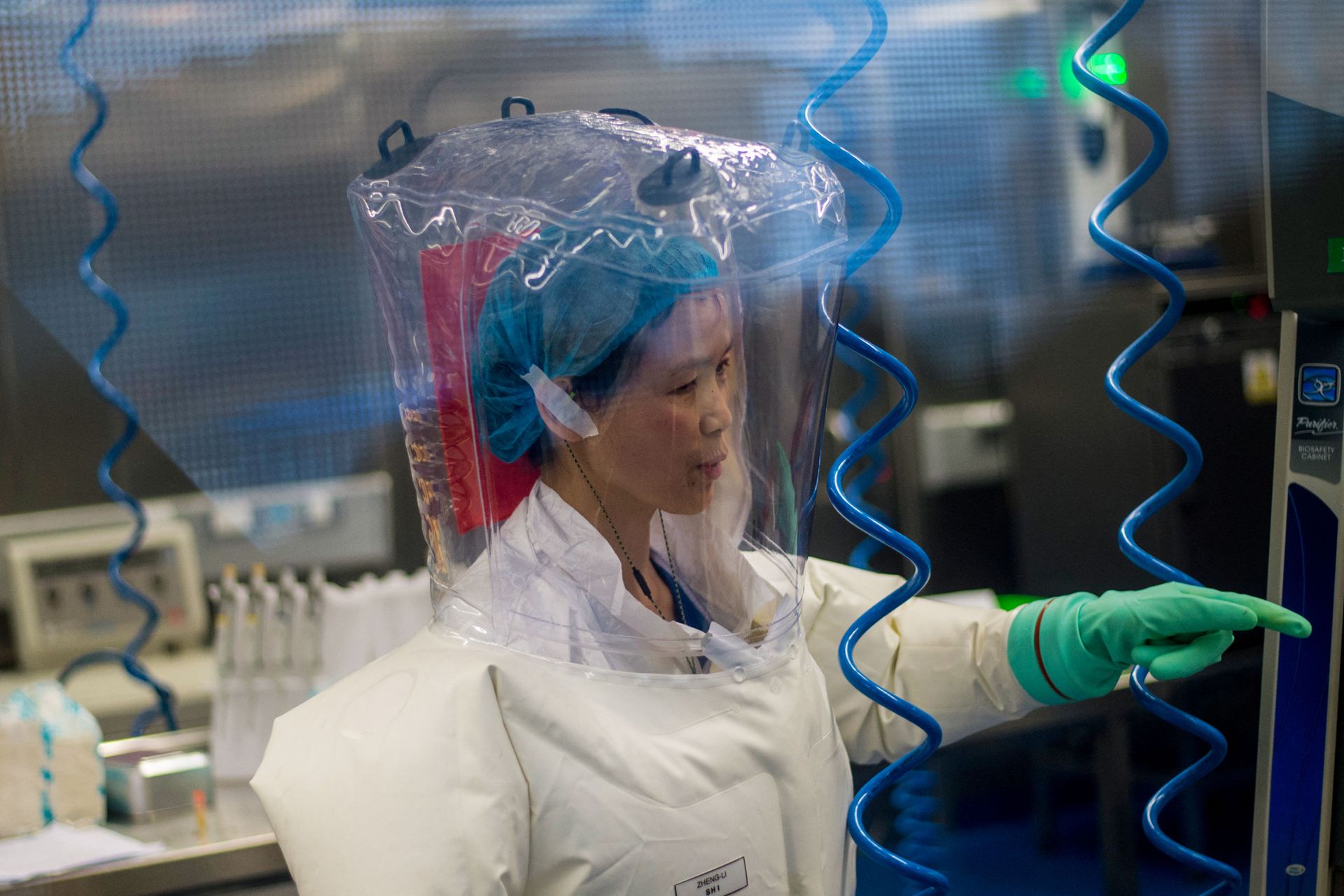 Chinese virologist Shi Zhengli is seen inside the P4 laboratory in Wuhan, capital of China's Hubei province, on February 23, 2017 Chinese virologist Shi Zhengli is seen inside the P4 laboratory in Wuhan, capital of China's Hubei province, on February 23, 2017 - Sputnik International, 1920, 22.10.2021