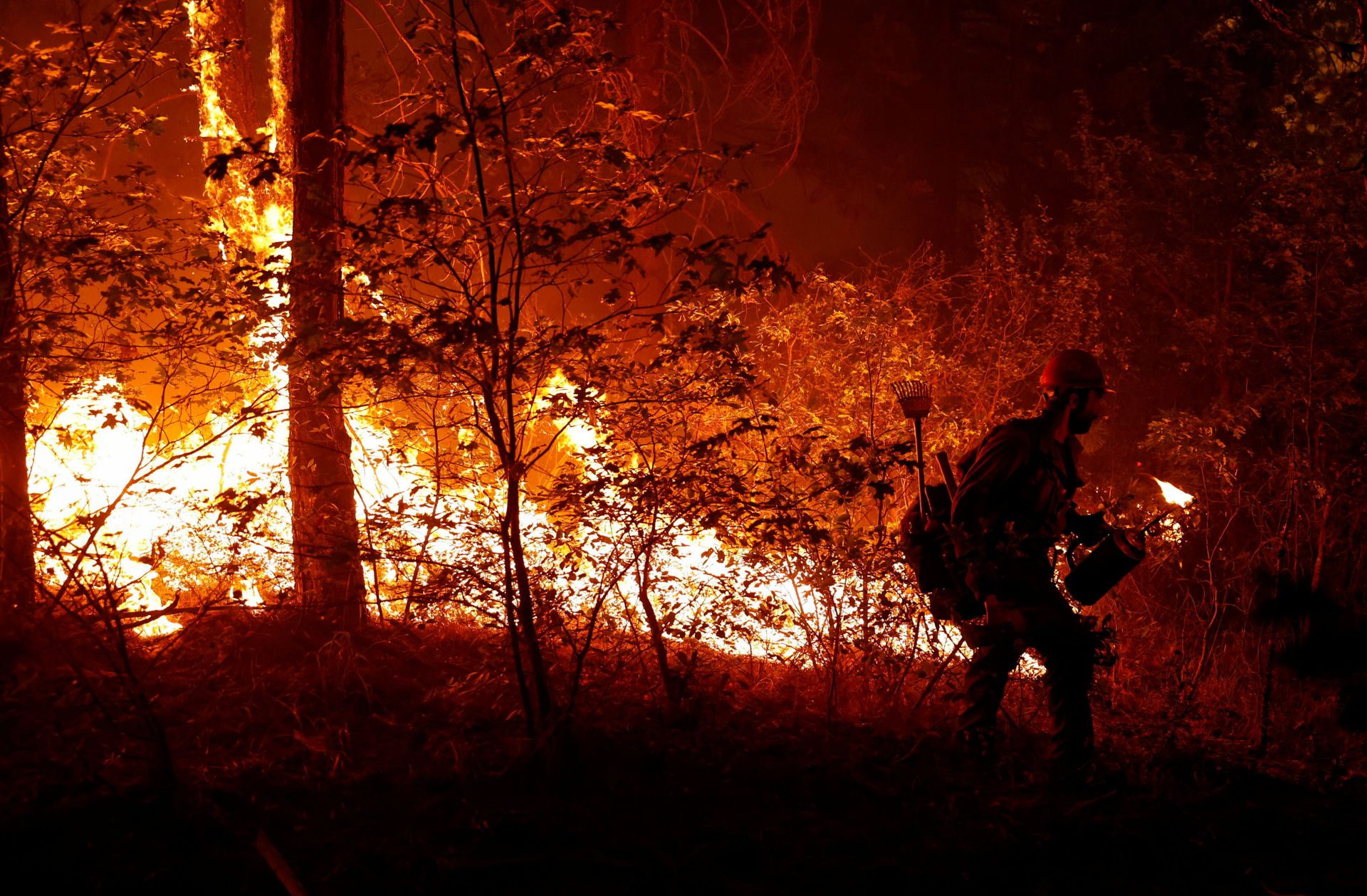 U.S. Forest Service firefighter Ben Foley lights backfires to slow the spread of the Dixie Fire, a wildfire near the town of Greenville, California, U.S. August 6, 2021. - Sputnik International, 1920, 07.09.2021